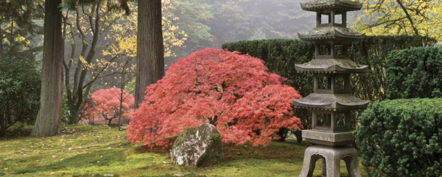 Spring Fever? These 5 Gorgeous Gardens Await You